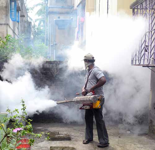 Empresa-de-Fumigación-en-Magdalena-del-Mar-Perú-1